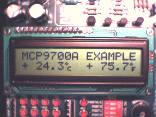 LCD thermometer display